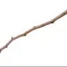 the stick