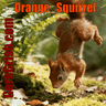 Orange_Squirrel