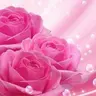 user5462080