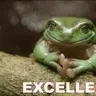 Frogg666