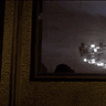 Jack_Bauer