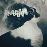 TessDeco