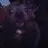 Leeza