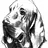 Bigdog6598