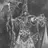Duke_of_seshington