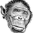 Dfpantera