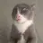 worratat