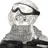 porg5868