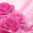 user5462080