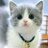 kittymewmew