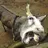 Jackass318