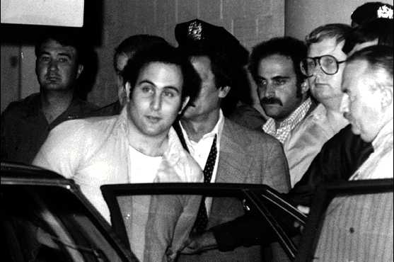 berkowitz_arrest107.jpg