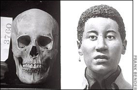 Skull-&-sculpture.jpg