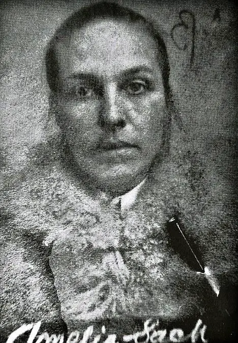 amelia-sach-1.jpg