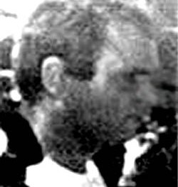 matteucci_000.jpg