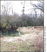 scene-where-bodies-found.jpg