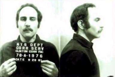 berkowitz051.jpg