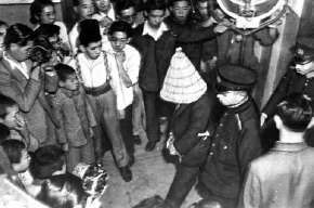 kodaira_002.jpg