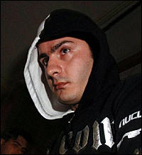 volpe_006.jpg