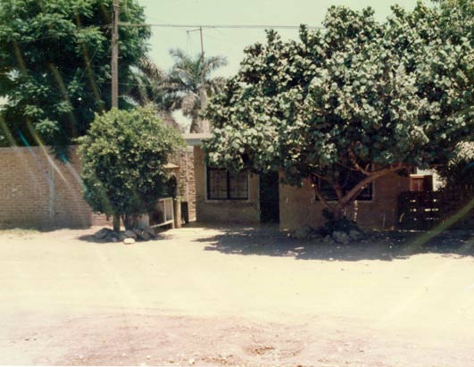 salcido_005.jpg