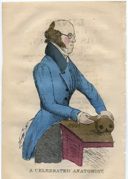 celebrated_anatomist.jpg