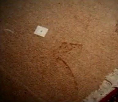 footprint_in_blood.jpg