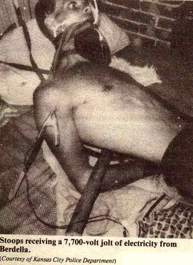 berdella_204.jpg