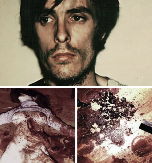 tumblr_m1oackZraO1rnpkt7o1_500.png