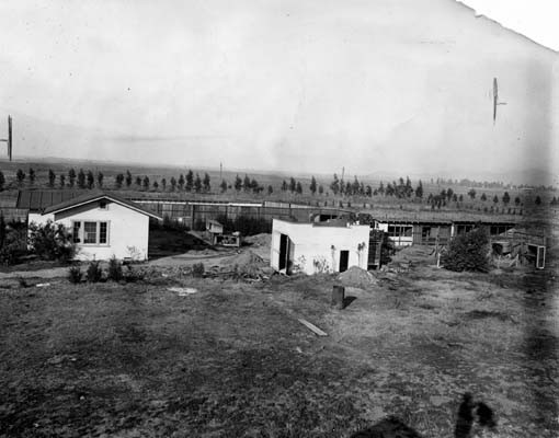 farm-006.jpg