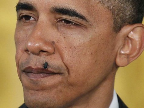 obama-fly.jpg