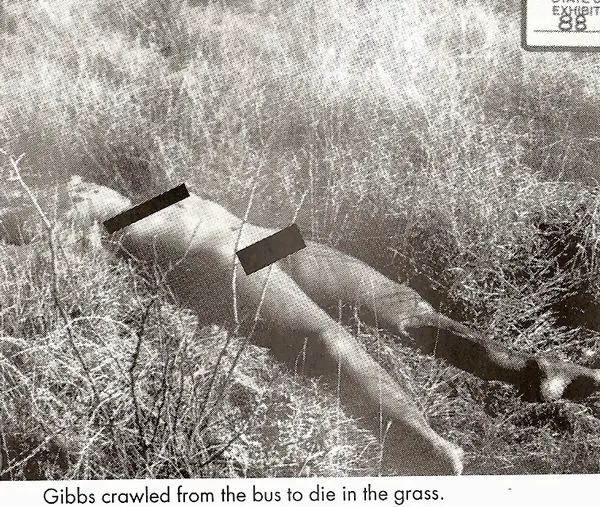 toni_gibbs_2.JPG