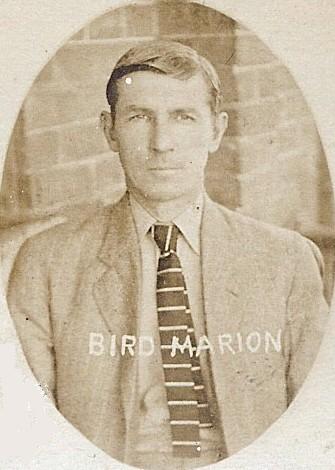 bird-marion.jpg