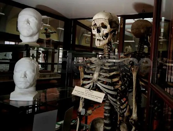 skeleton_001.jpg