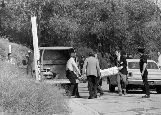 investigation_022.jpg
