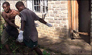 1017d.jpg
