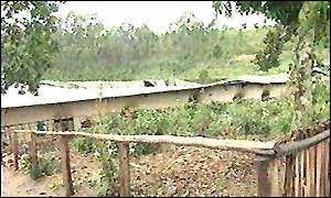 2008.jpg