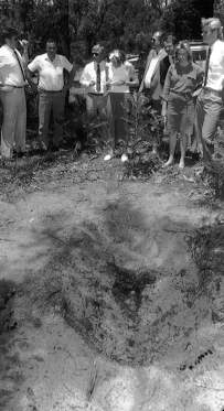 birnie-gravesite-2.jpg