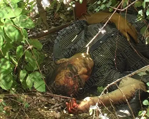 victim_001.jpg