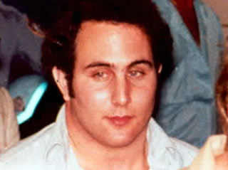 berkowitz061.jpg