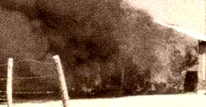 barraca2.jpg