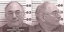 berkowitz222.jpg
