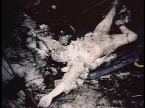 darlene-trippi-murder-scene2.jpg