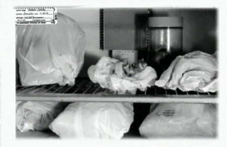 jeffrey-dahmer-fridge-4.jpg