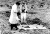 police-examine-remains.jpg