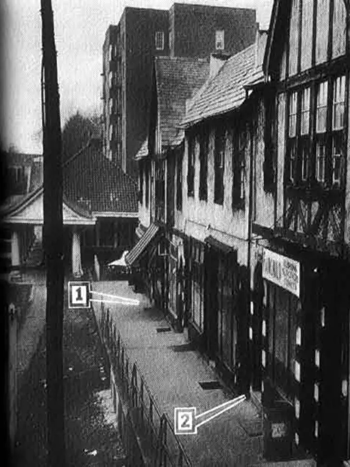 moseley_102.jpg