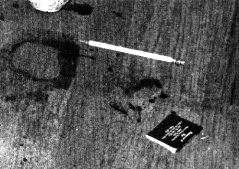 RingsofbloodnearWallinbody.jpg
