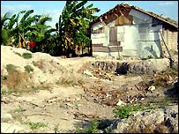 chagas_site.jpg