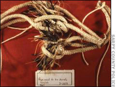 PG-Rope-used-to-tie-hands.jpg