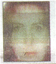 dorata-dzubak.gif