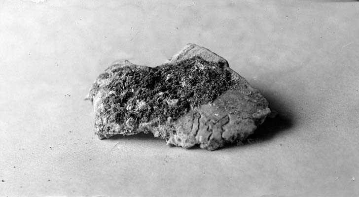 northcott-012.jpg